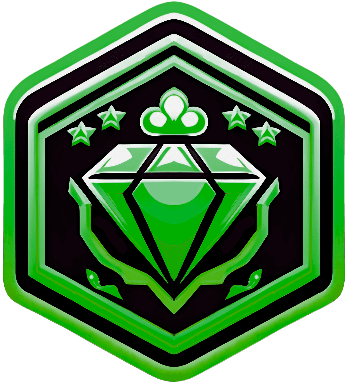 vip1